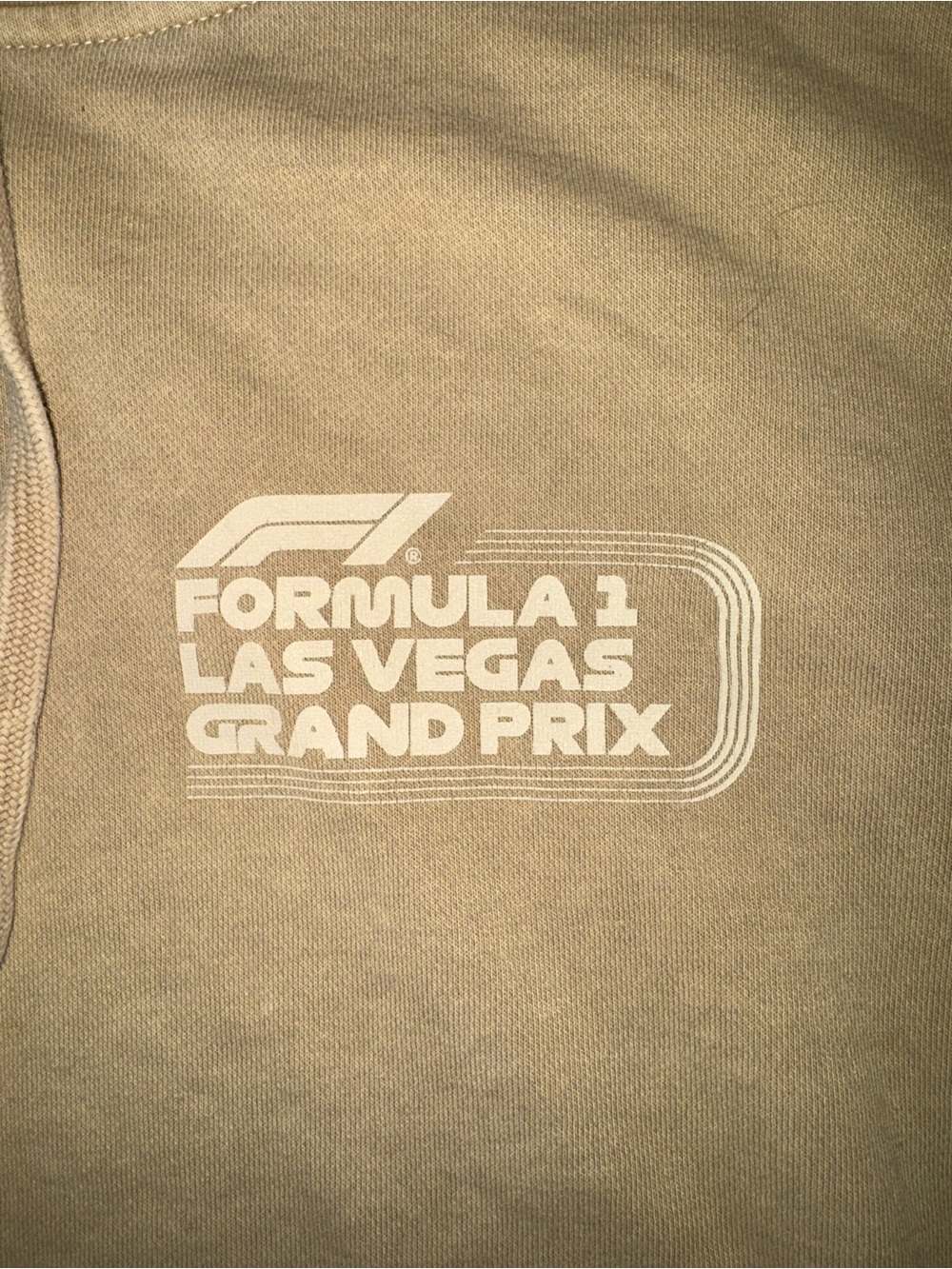 Formula 1 Racing Hoodie - Picture 4 of 7